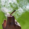 ¿Cuánto dura el THC – cannabis en la orina?