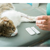 Test Panleucopenia Felina: Detección Rápida y Precisa